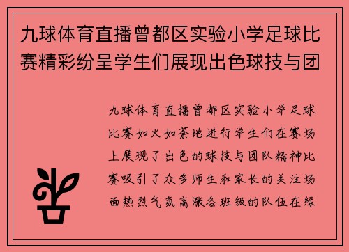 九球体育直播曾都区实验小学足球比赛精彩纷呈学生们展现出色球技与团队精神