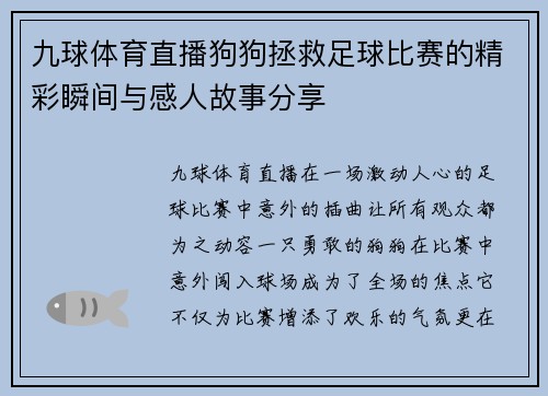 九球体育直播狗狗拯救足球比赛的精彩瞬间与感人故事分享